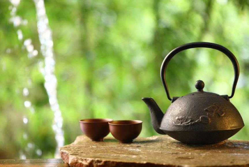 普洱茶的历史，可以从唐代算起吗？