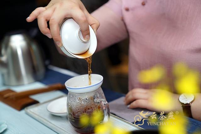 人生如茶 品茶品人生