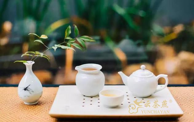 一片茶叶的涅磐