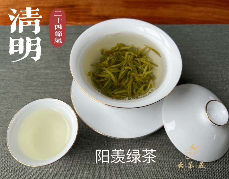05.【清明】阳羡绿茶.jpg