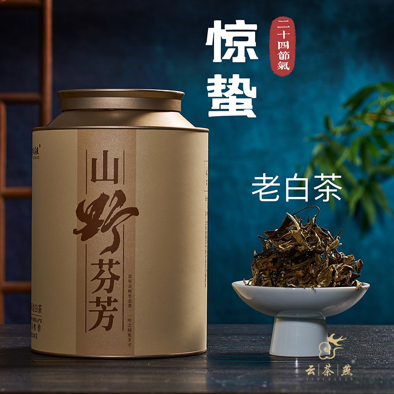 【惊蛰】老白茶