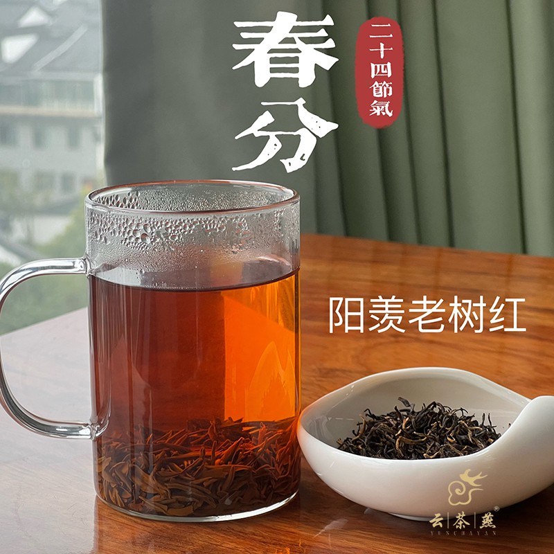 【春分】阳羡老树红