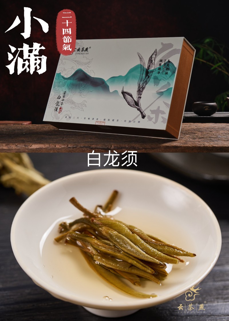 08.【小满】白龙须.jpg