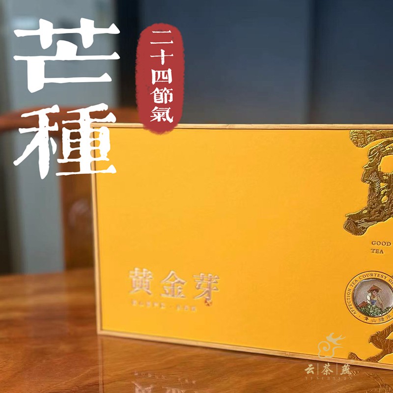 【芒种】黄金芽