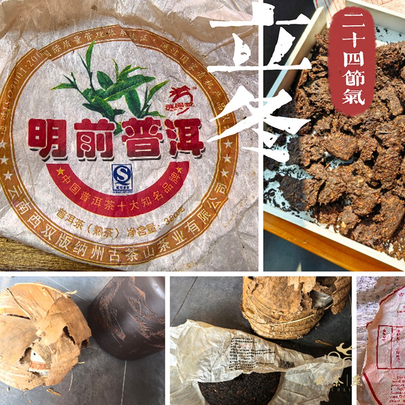 【立冬】明前普洱
