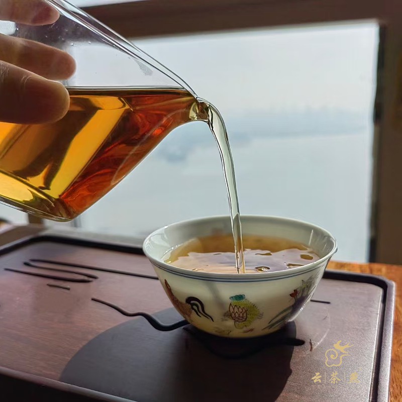 主人杯