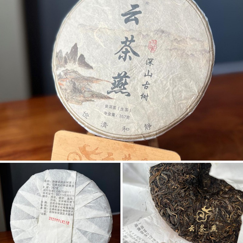 深山古树