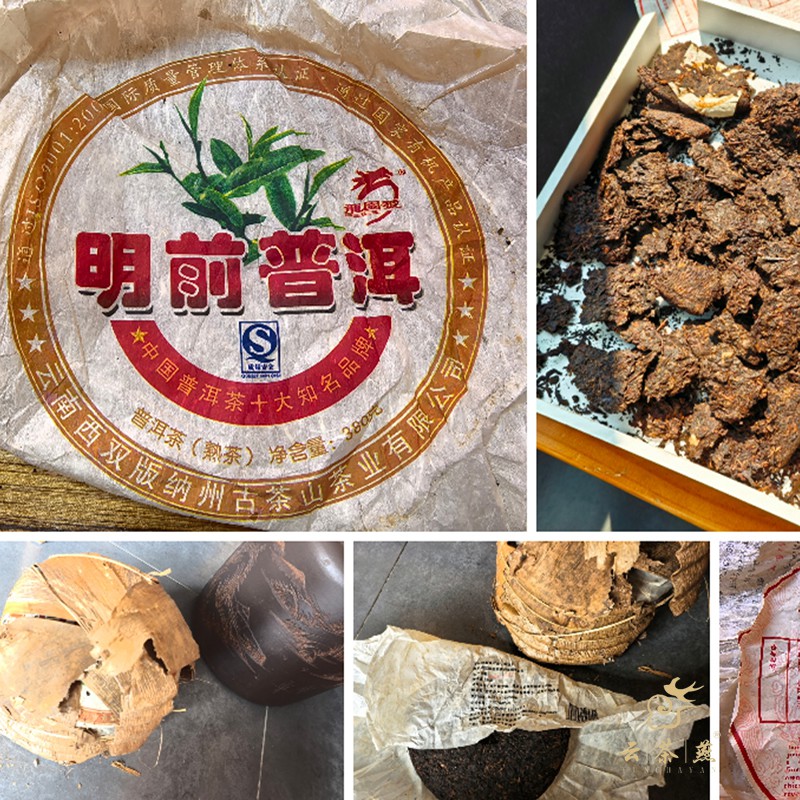 明前普洱